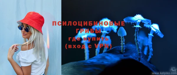 СК Бронницы