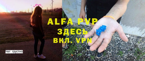 СК Бронницы
