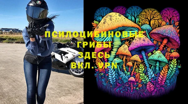 a pvp Володарск