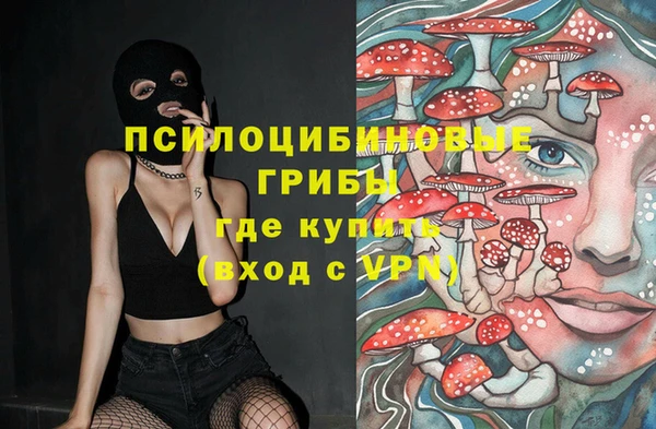 a pvp Володарск